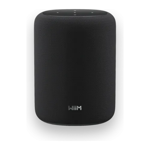 Wiim Sound Lite 100W WiFi 6 AirPlay Chromecast compatible con Alexa Altavoz Bluetooth 5.3