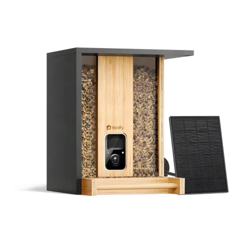 Comedero para pájaros Birdfy Feeder Bamboo AI Negro 1080p Full HD