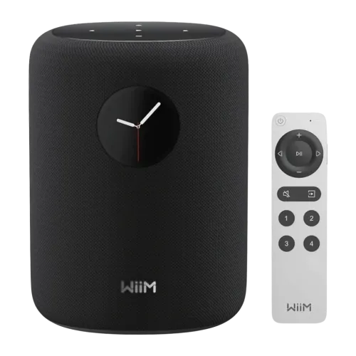 Wiim Sound 100W WiFi Chromecast compatible con Alexa y Google Assistant Altavoz Bluetooth 5.3