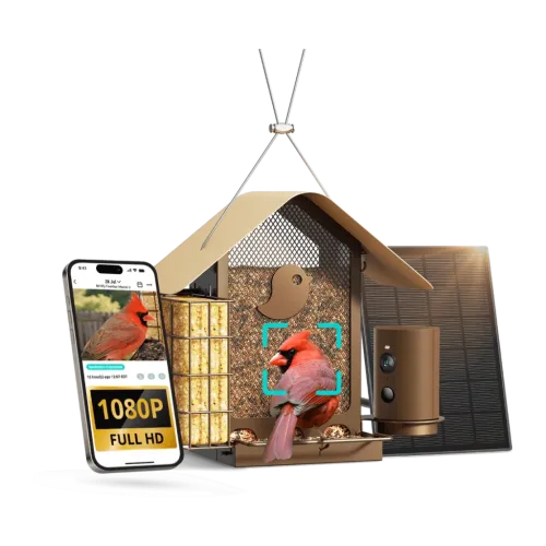 Comedero para pájaros Birdfy Feeder Metal V 2,5L 1080P 30fps