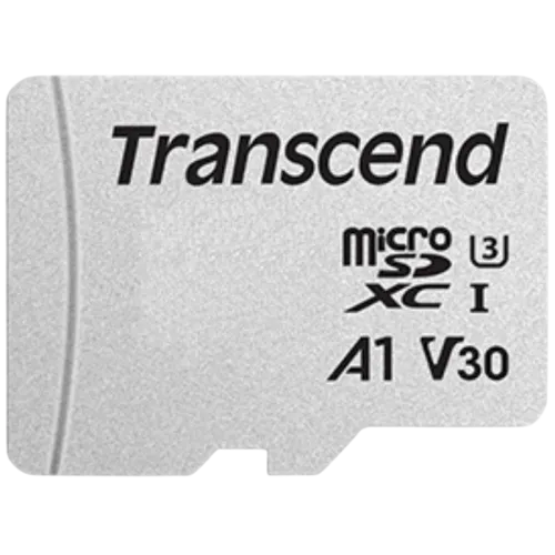 Transcend TS4GUSD300S 4GB Plata 20MB/s Clase 10 Tarjeta microSD