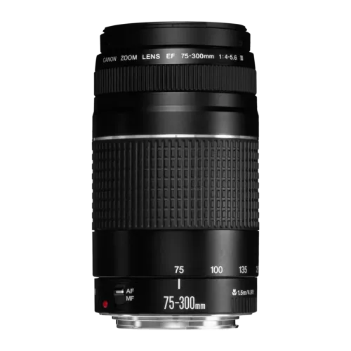 Objetivo fotográfico Canon EF 75-300mm f/4-5.6 III Negro