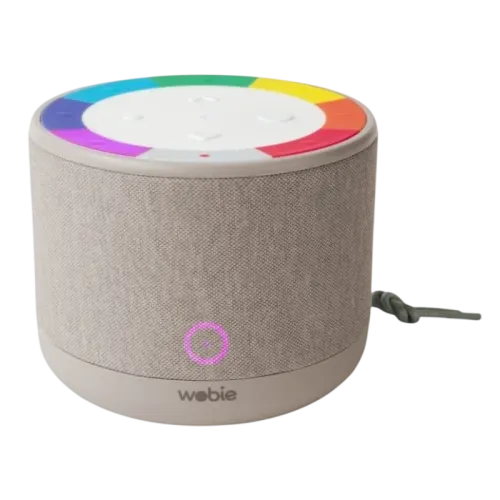 Wobie Box Gris IPX5 2200mAh manos libres entrada AUX WiFi Altavoz Bluetooth 5.3